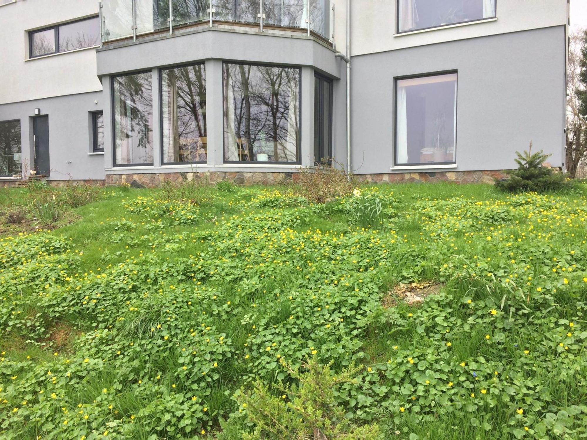 Beltblick Apartamento Fehmarn Exterior foto